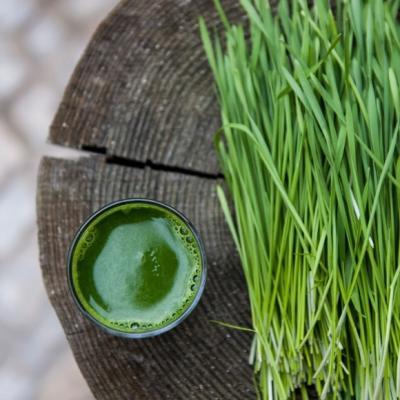 Wheatgrass juice - 100 percent pure