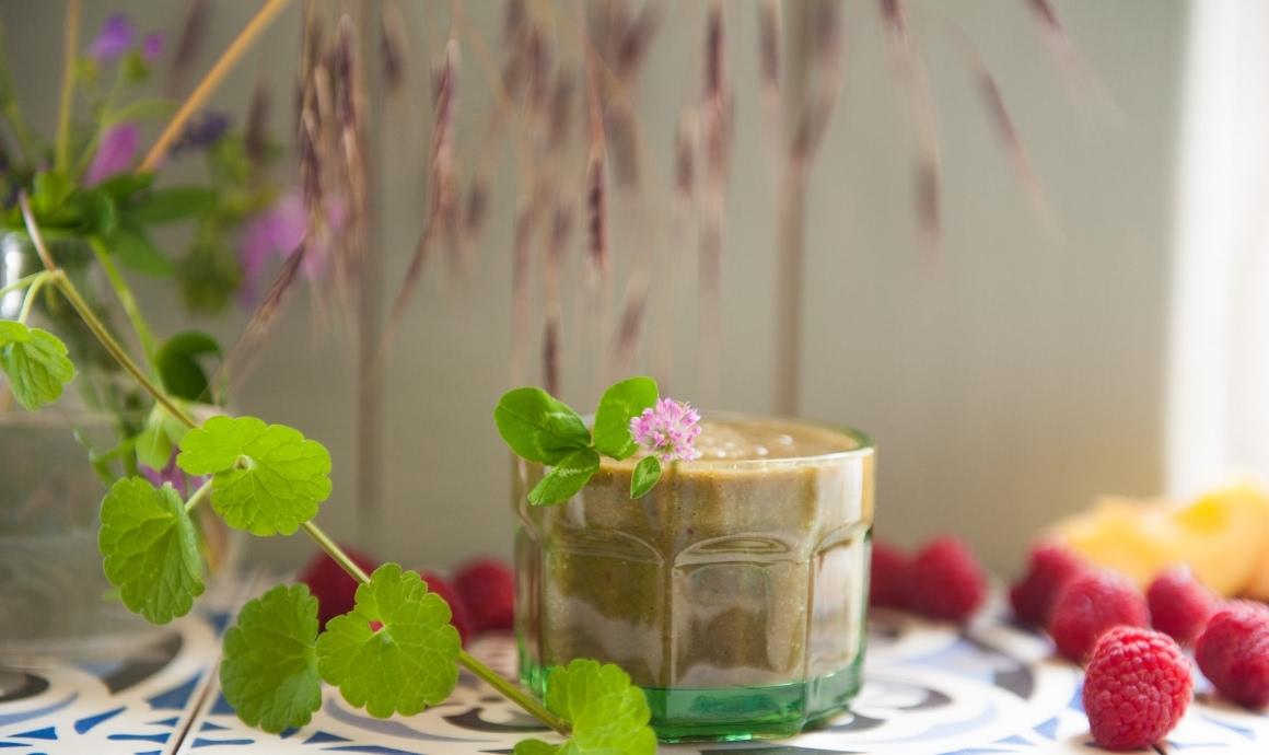 Wild herb smoothie with red clover
