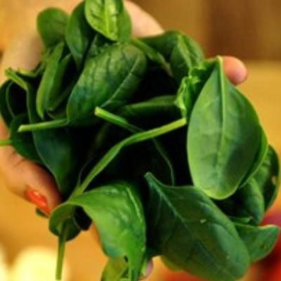 Handful of spinach leaves.