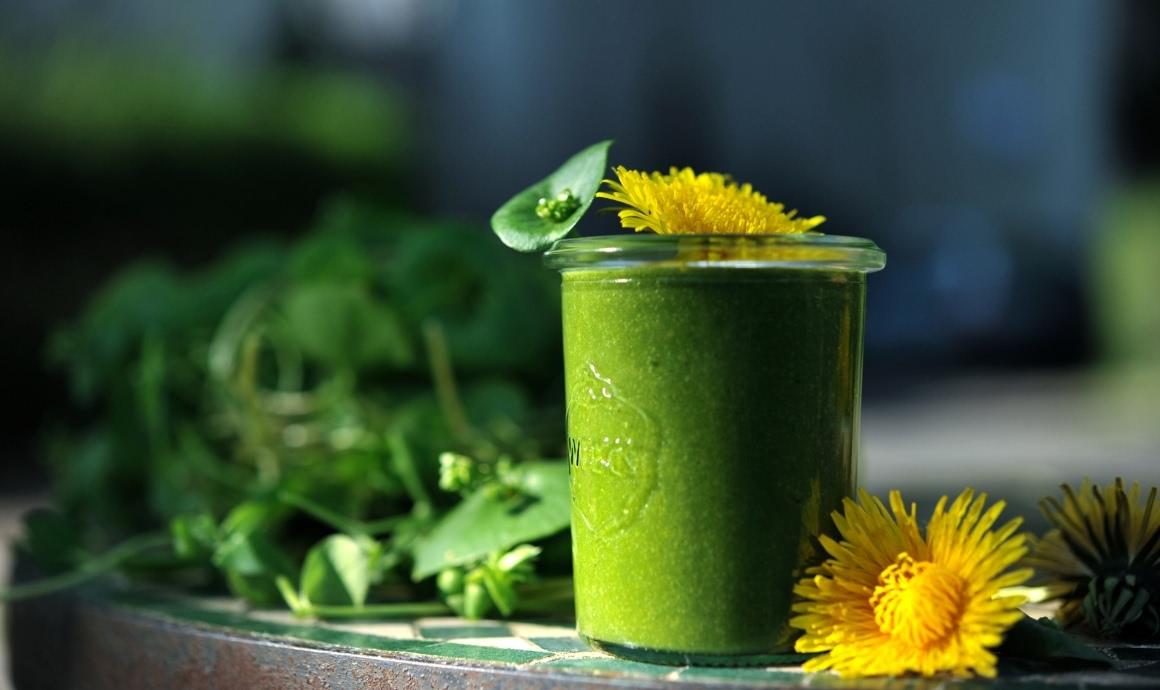 Boost your immune system with wild herb smoothies