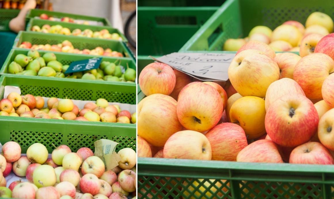 Different varieties of apples at the farmer's market.