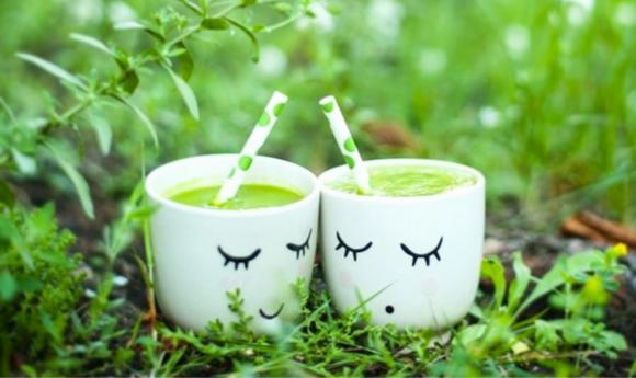 Wild herbs smoothie recipe with tree flowers