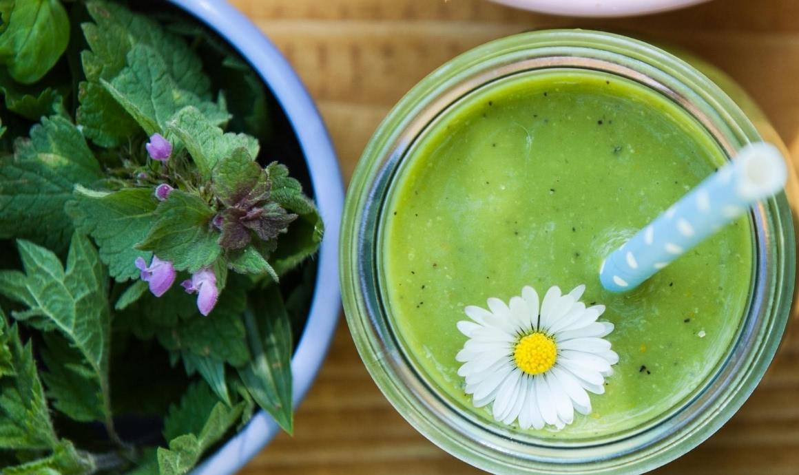 Wild herbs smoothie recipes with chickweed