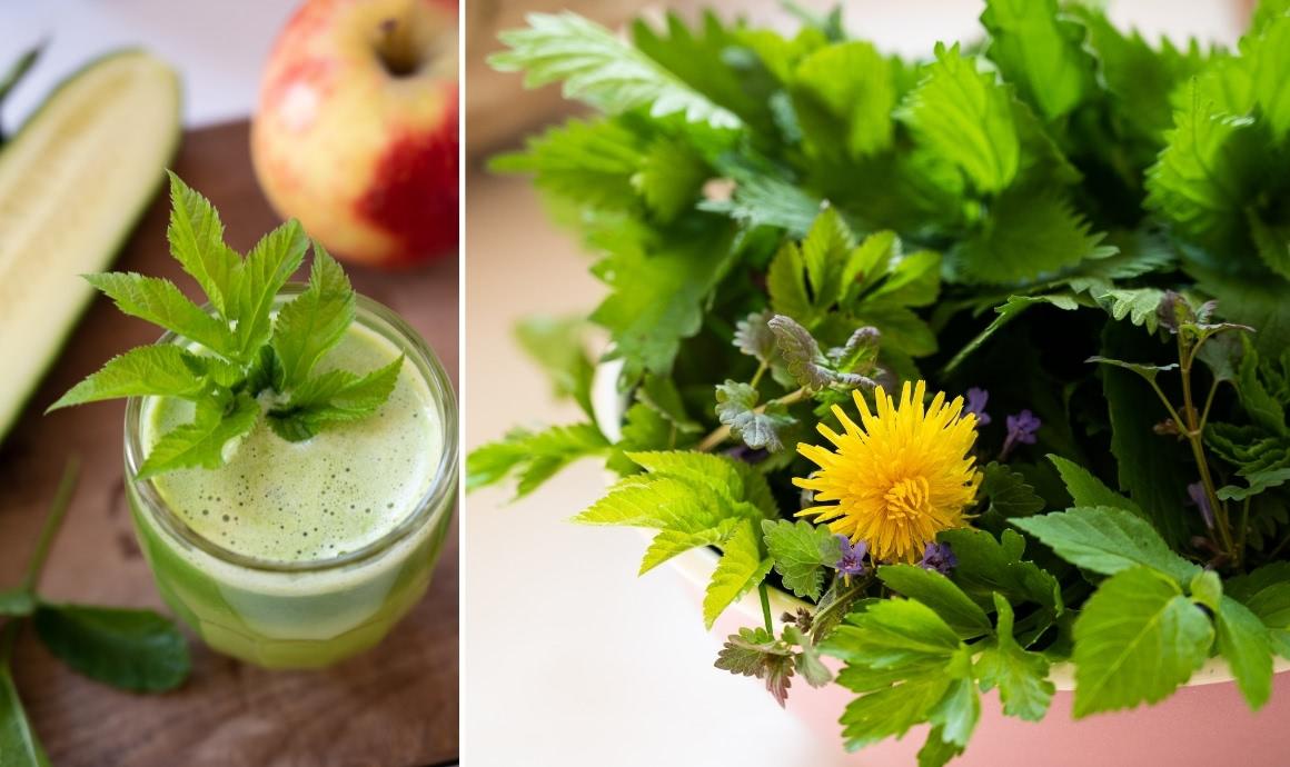 Goutweed juice with apple, cucumber and lemon