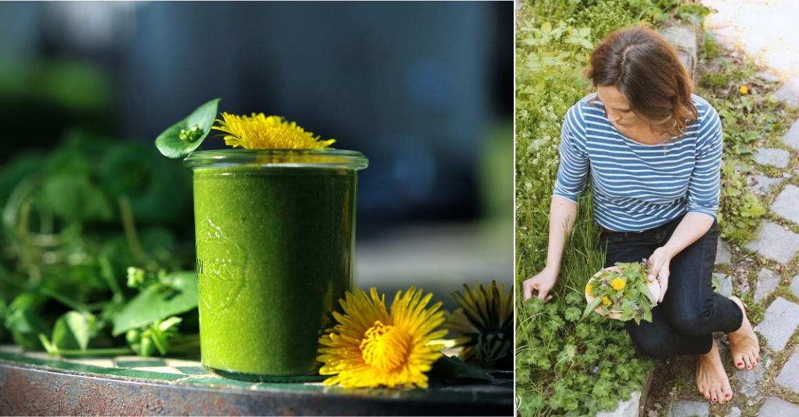 Wild herb walk 2s collage: left wild herb smoothie with dandelion; right: Svenja collects wild herbs in Kreuzberg backyard.