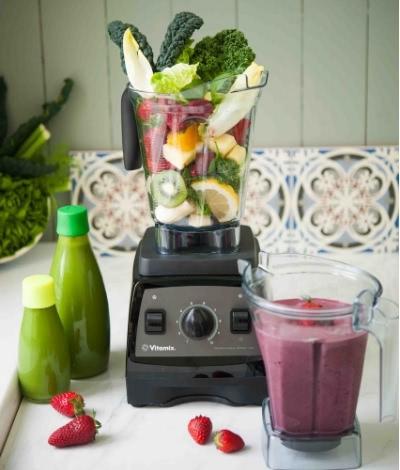 Vitamix Pro 300 container with filling